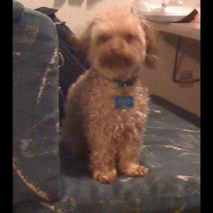 Meet your Posher, Catherine